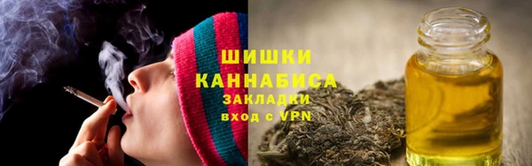 сатива Михайлов
