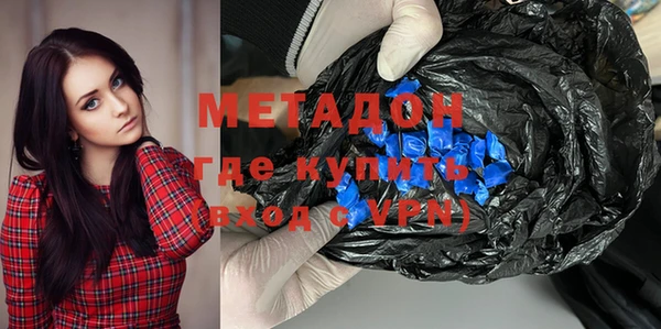 прущие грибы Михайловск