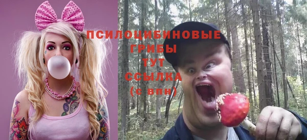 ешки Мегион