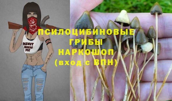 герыч Медногорск