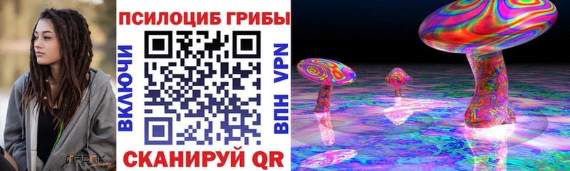 Псилоцибиновые грибы Cubensis  Тимашёвск 